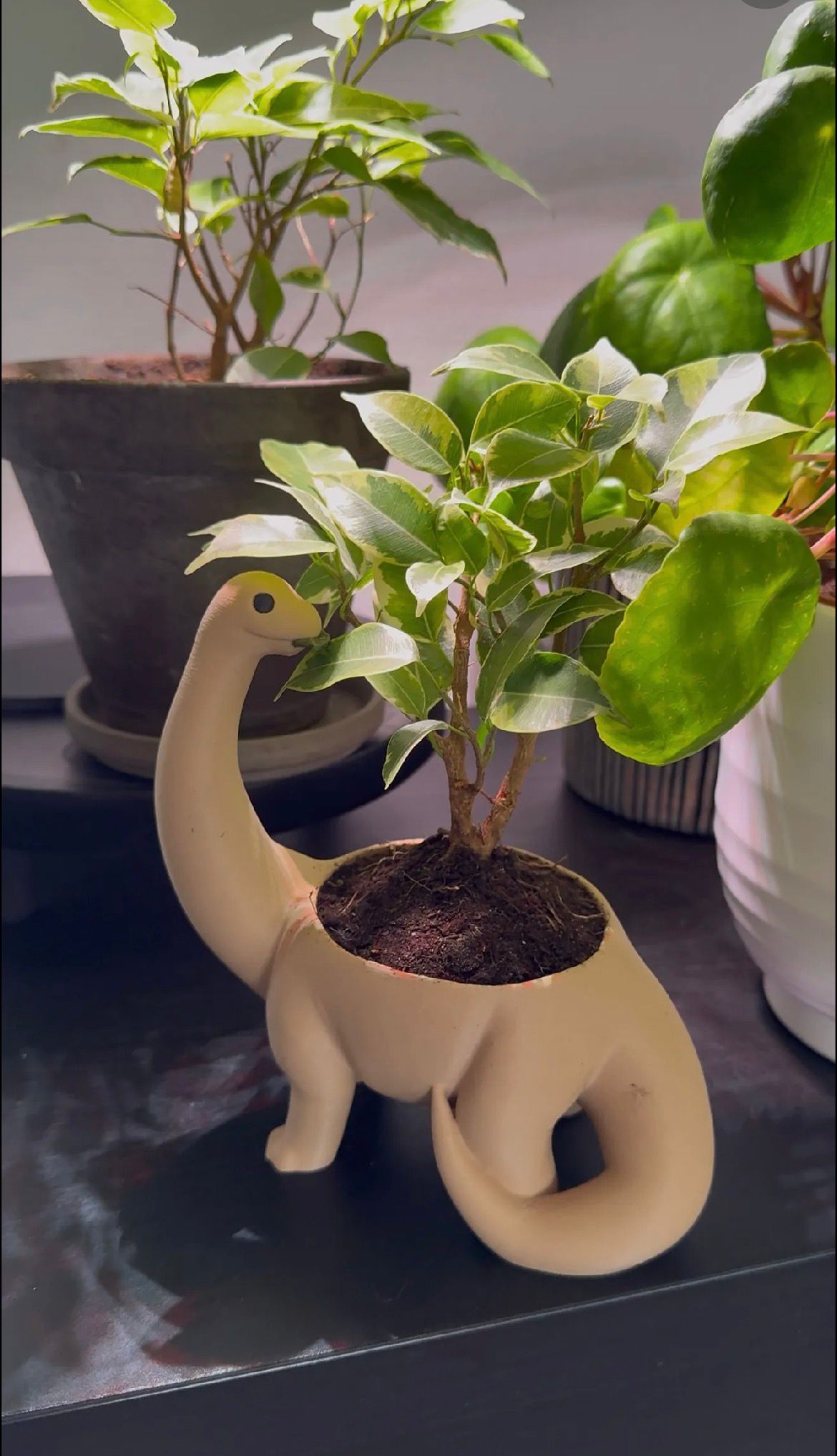 Dino Blumentopf – Dekorativer Pflanzentopf