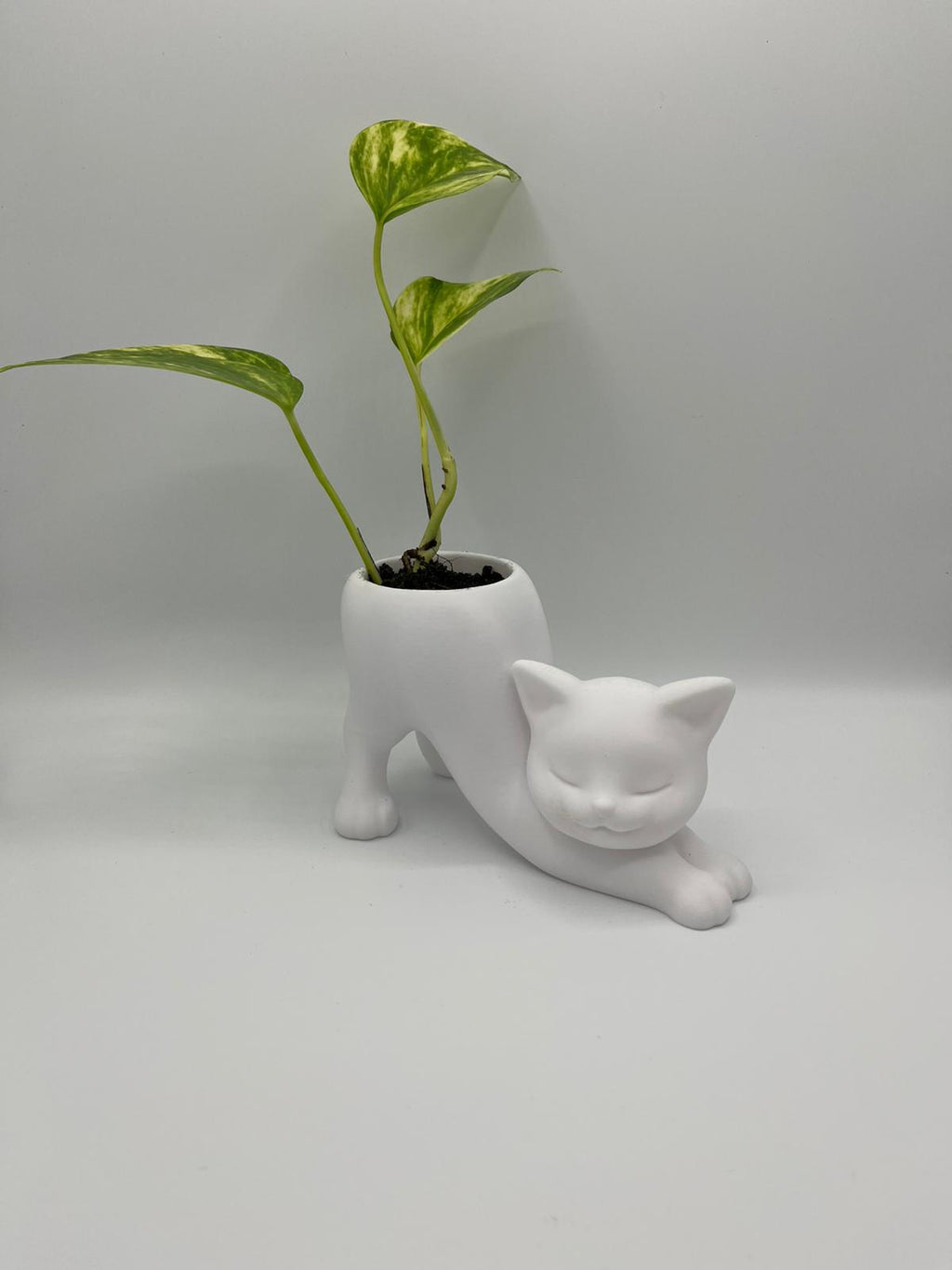 Katzen-Blumentopf – Deko Pflanzgefäß in Katzenform