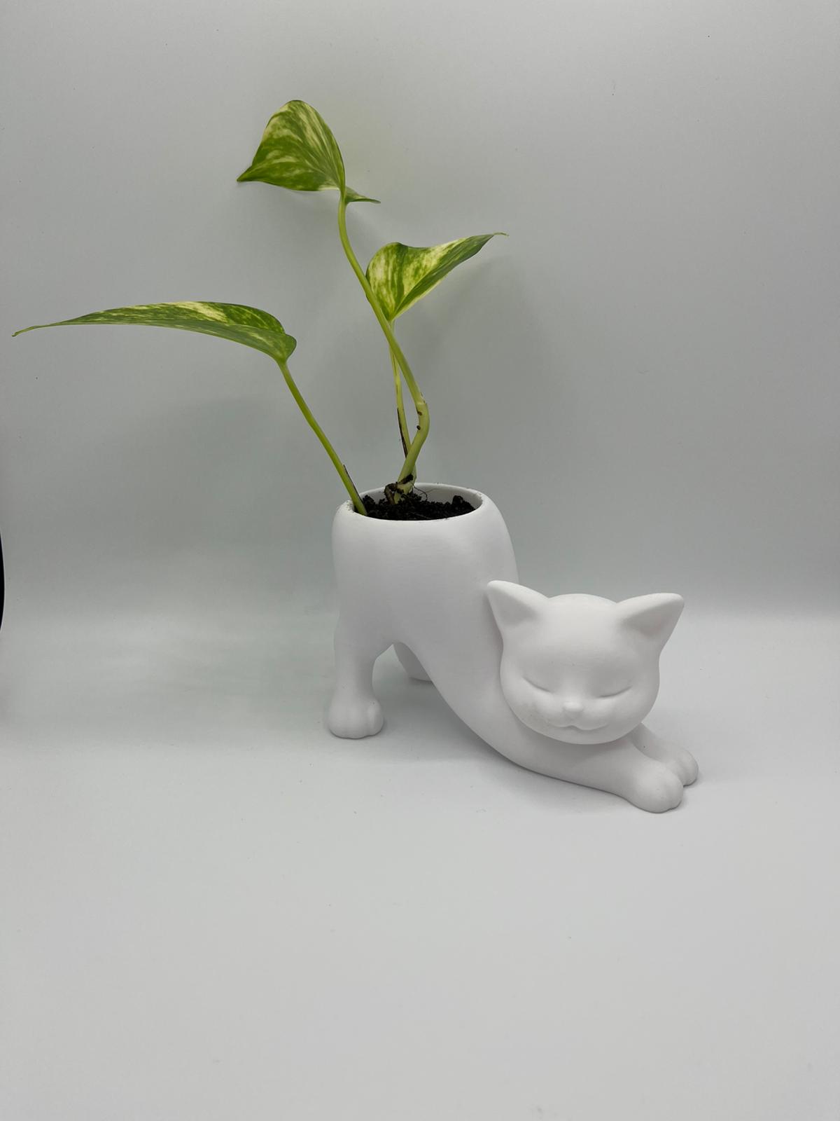 Katzen-Blumentopf – Deko Pflanzgefäß in Katzenform