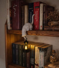 Katzen Lampe mit Laterne – 3D Gedruckt mit LED Licht