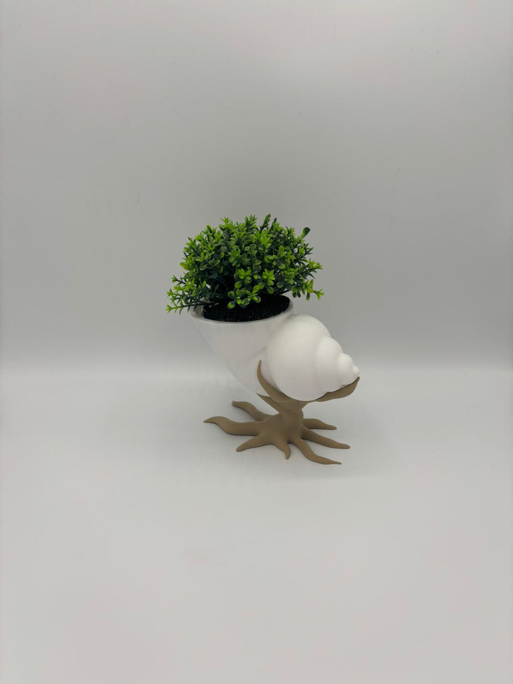 Bonsai mit Muschelpflanztopf – 3D gedruckt | Moderner Blumentopf mit Baum-Design