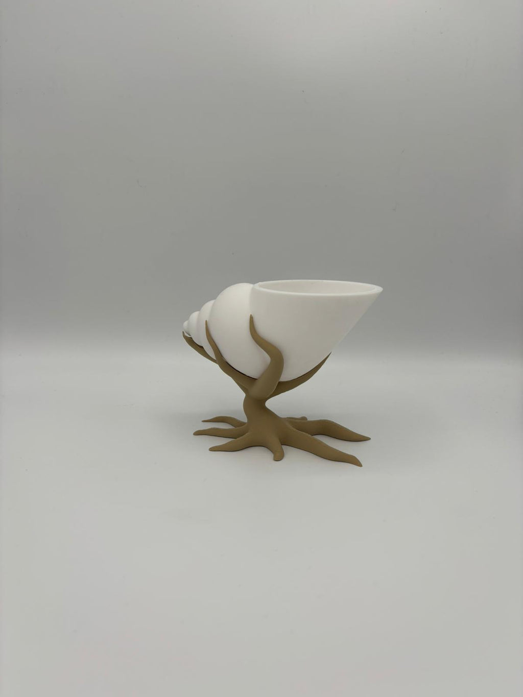 Bonsai mit Muschelpflanztopf – 3D gedruckt | Moderner Blumentopf mit Baum-Design