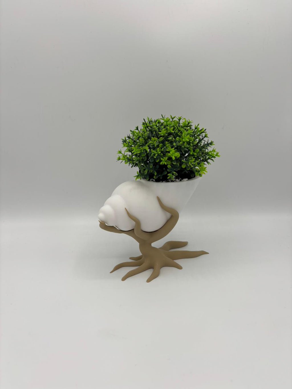 Bonsai mit Muschelpflanztopf – 3D gedruckt | Moderner Blumentopf mit Baum-Design