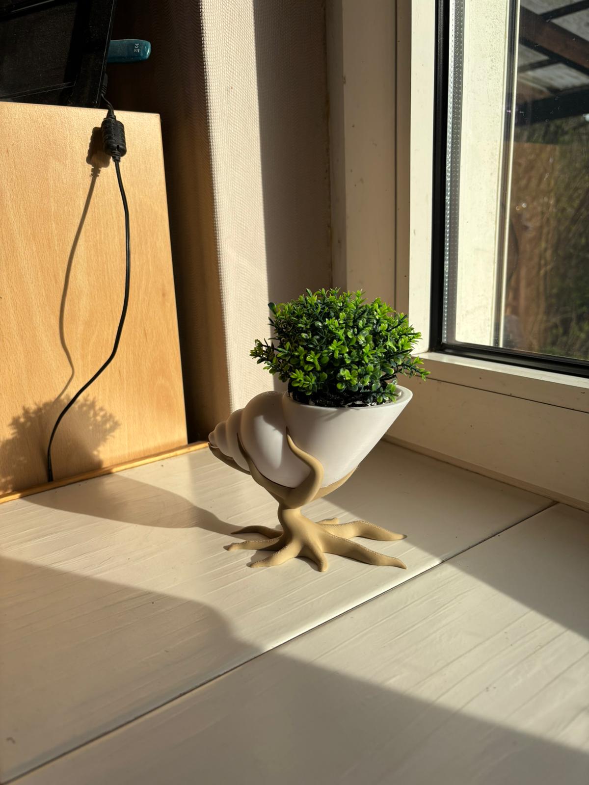 Bonsai mit Muschelpflanztopf – 3D gedruckt | Moderner Blumentopf mit Baum-Design