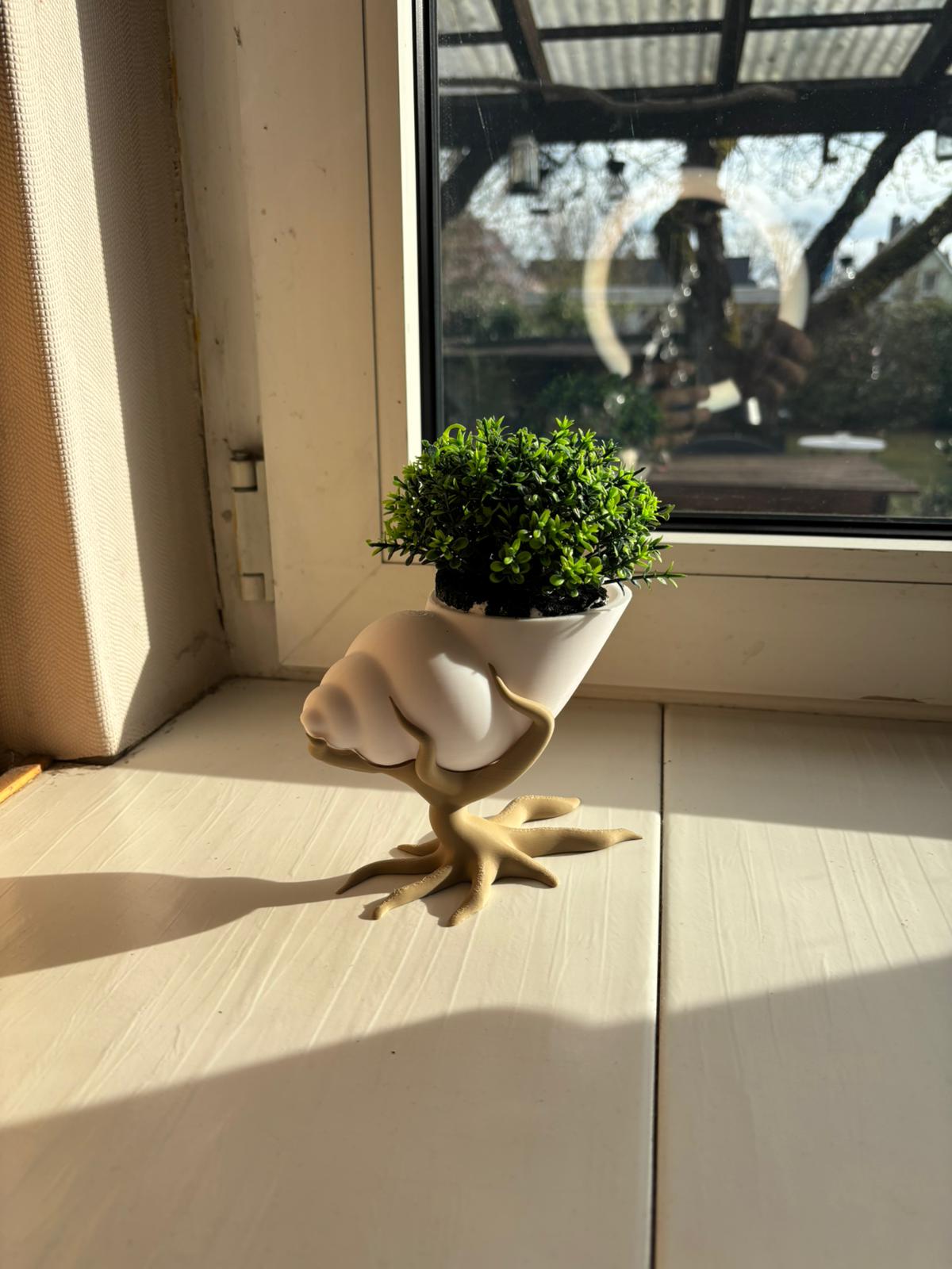 Bonsai mit Muschelpflanztopf – 3D gedruckt | Moderner Blumentopf mit Baum-Design