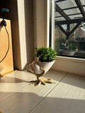 Bonsai mit Muschelpflanztopf – 3D gedruckt | Moderner Blumentopf mit Baum-Design
