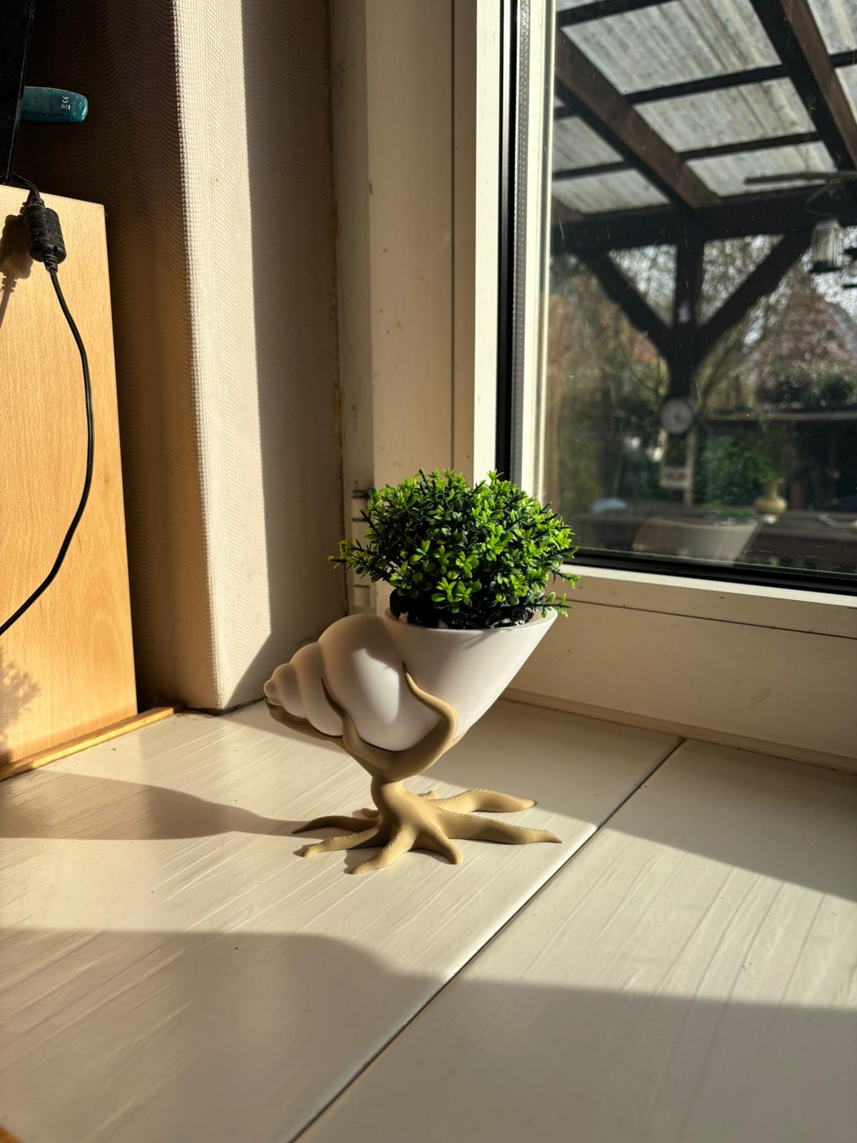 Bonsai mit Muschelpflanztopf – 3D gedruckt | Moderner Blumentopf mit Baum-Design