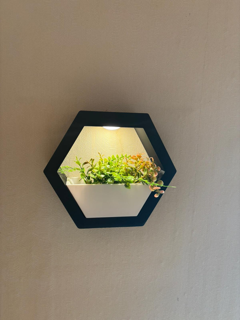 Hexagon Wandpflanztopf mit LED-Beleuchtung – Moderne  Pflanzgefäß