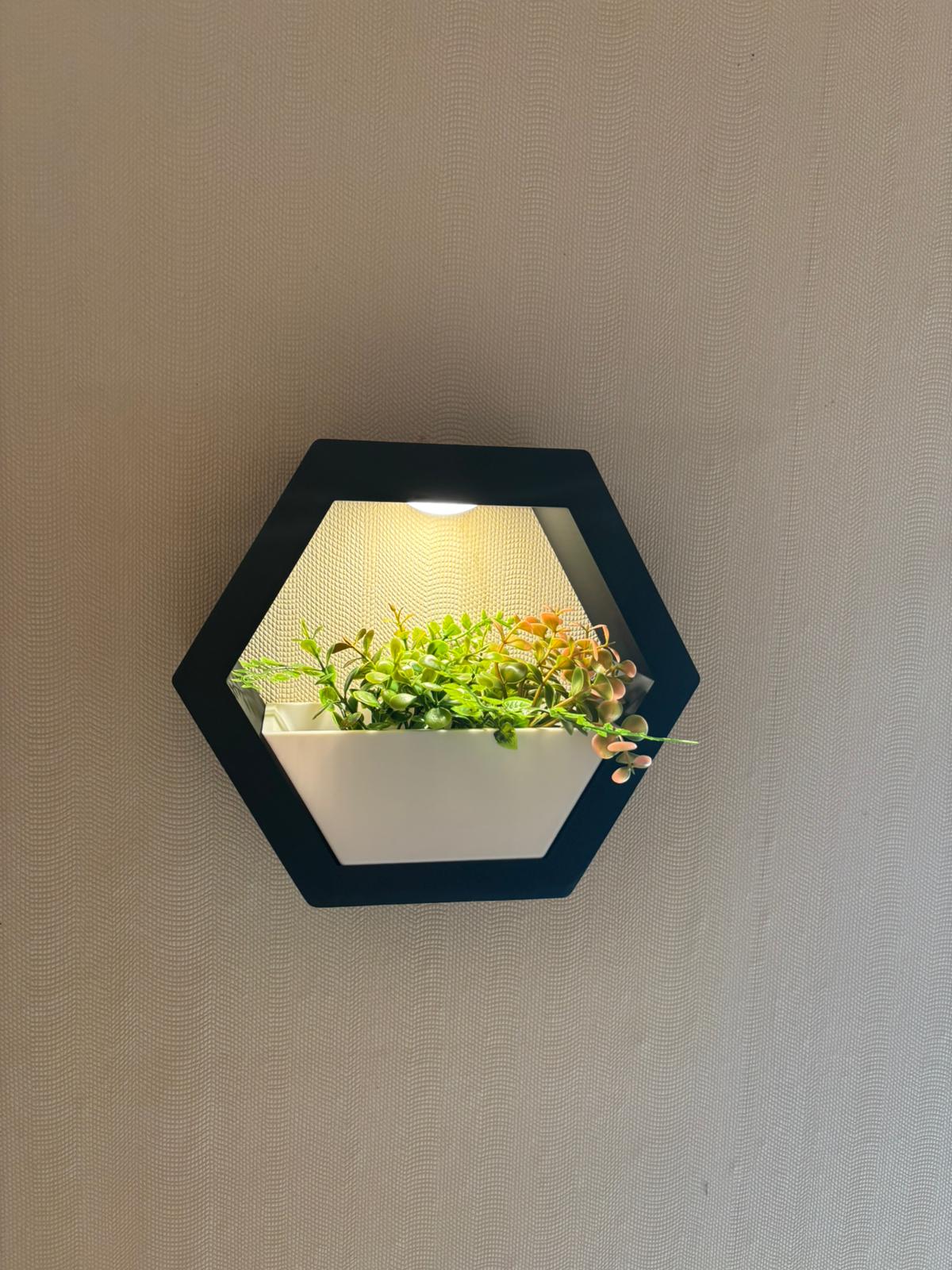 Hexagon Wandpflanztopf mit LED-Beleuchtung – Moderne  Pflanzgefäß