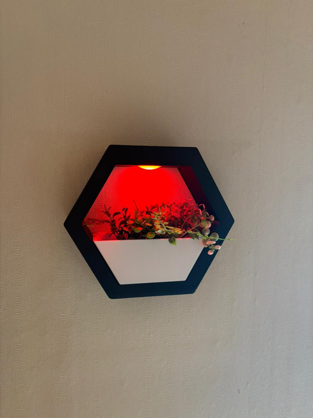 Hexagon Wandpflanztopf mit LED-Beleuchtung – Moderne  Pflanzgefäß