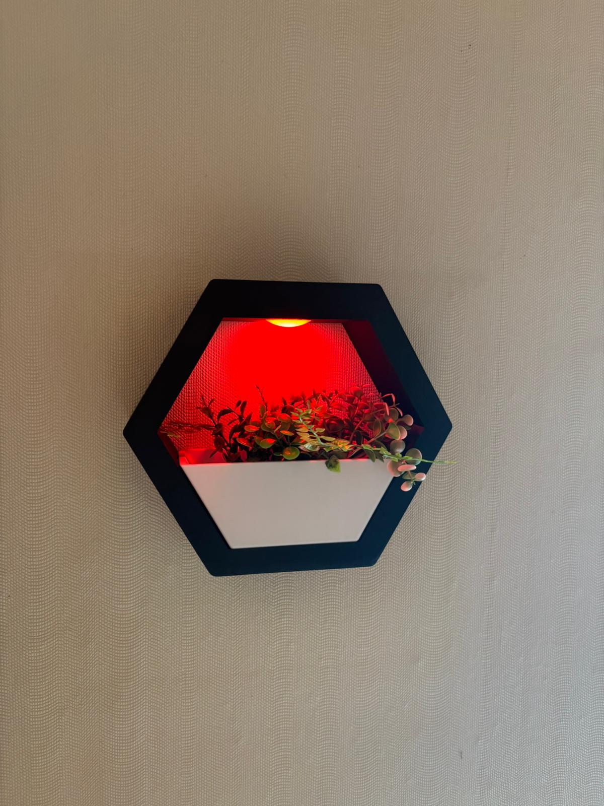 Hexagon Wandpflanztopf mit LED-Beleuchtung – Moderne  Pflanzgefäß