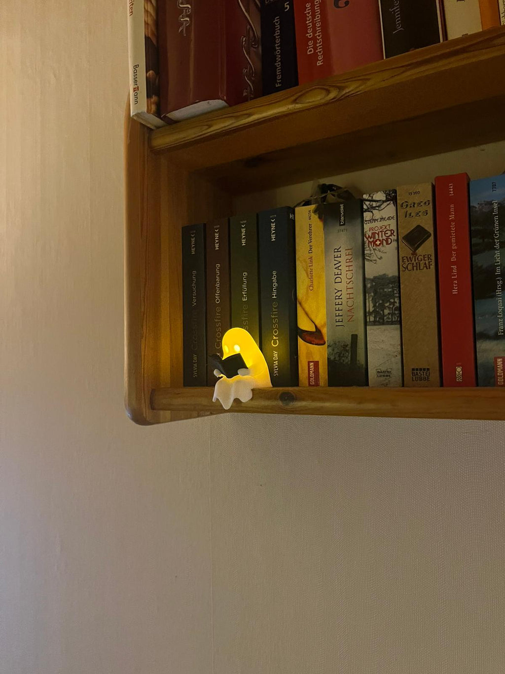 Leuchtender Geist Bücherregaldeko 3D gedruckt – Deko Figur