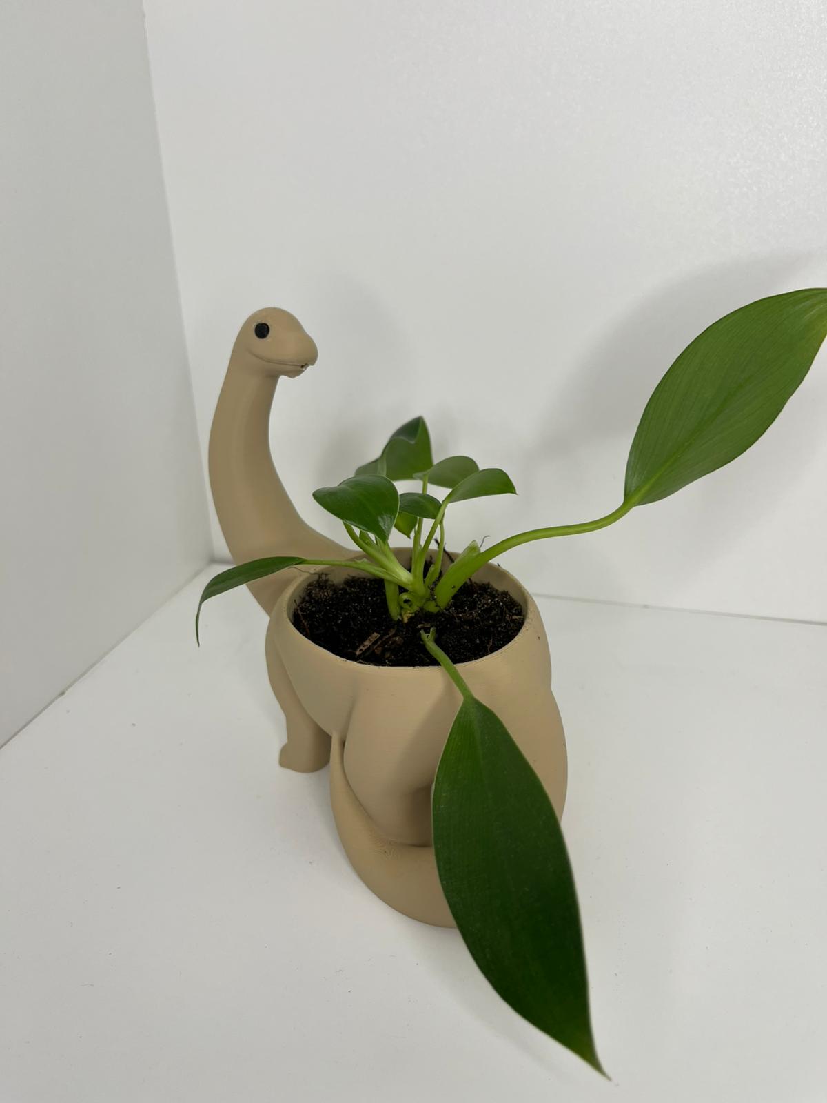 Dino Blumentopf – Dekorativer Pflanzentopf