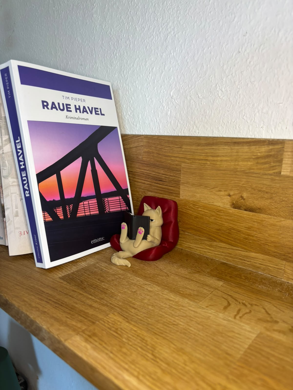 Bücherregal Katzen Deko 3D gedruckt – Lesende Katze im Kissen