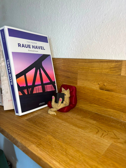 Bücherregal Katzen Deko 3D gedruckt – Lesende Katze im Kissen
